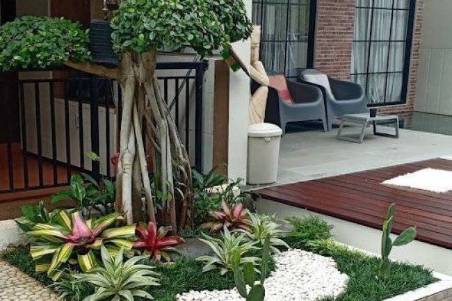 Bagaimana Menciptakan Taman Rumah yang Indah dan Fungsional