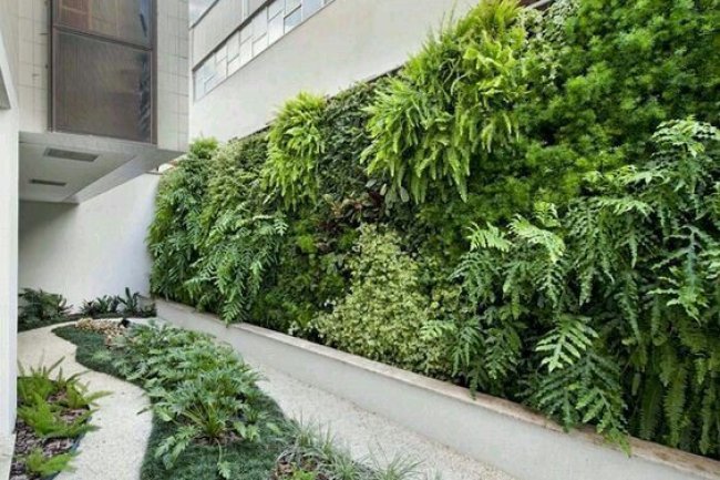 Keuntungan Memiliki Rumah dengan Taman Vertikal