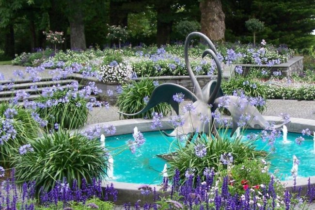 Kolam Renang dengan Area Lansekap Berbunga