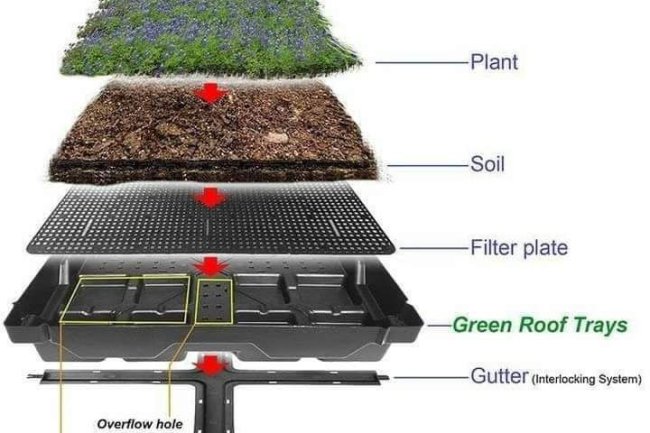 Penerapan Teknologi Green Roof dalam Konstruksi