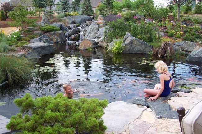 Kolam Renang Alami dengan Tanaman Aquatik