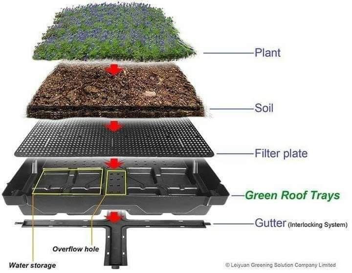 Penerapan Teknologi Green Roof dalam Konstruksi