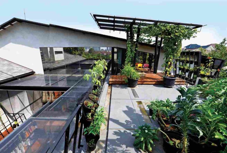 Rumah Urban Farming: Menggabungkan Arsitektur dan Pertanian